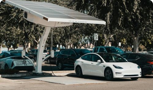 Como os mini-trens aumentam a eficiência nas plantações de citrinos da China