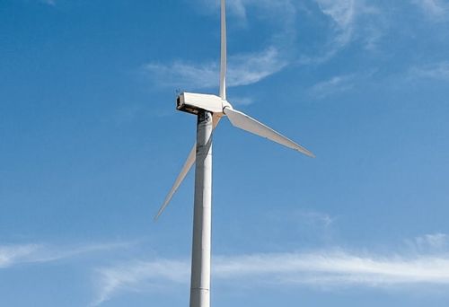 Últimas notícias da empresa sobre Como os mini-trens aumentam a eficiência nas plantações de citrinos da China